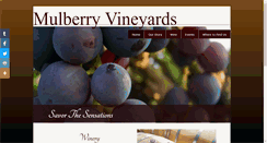Desktop Screenshot of mulberryvineyards.com